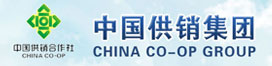 中国永鑫国际集团